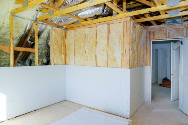 Best Insulation Maintenance and Repair in Gillett, WI